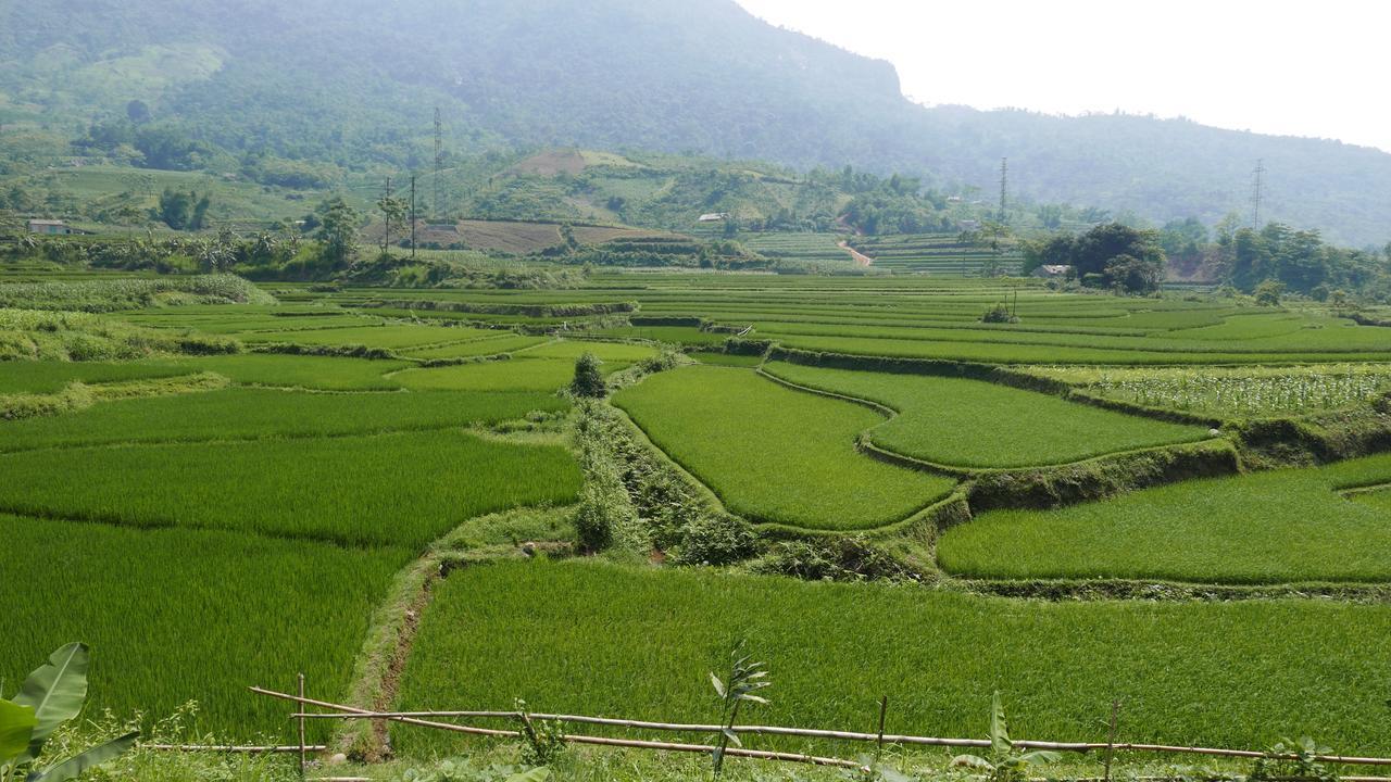 Thac Ba Family Homestay Ho To ภายนอก รูปภาพ
