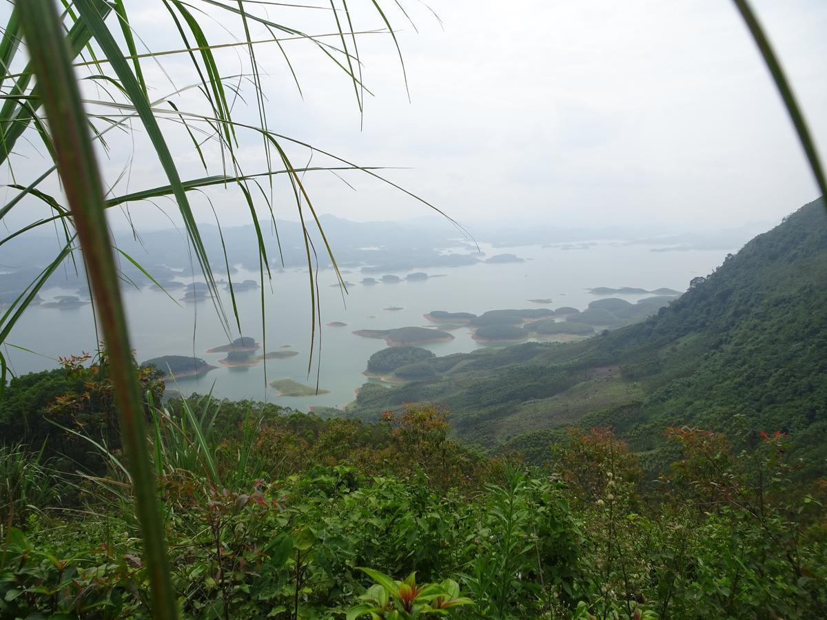 Thac Ba Family Homestay Ho To ภายนอก รูปภาพ