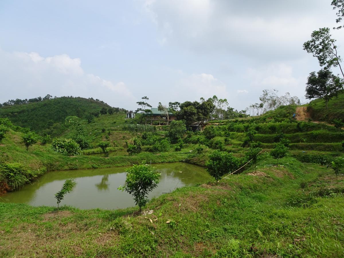 Thac Ba Family Homestay Ho To ภายนอก รูปภาพ