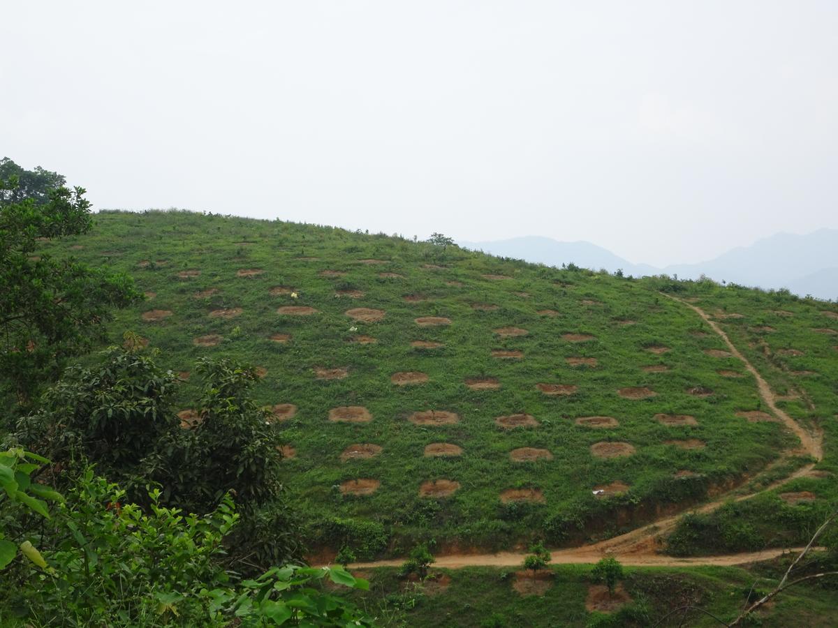 Thac Ba Family Homestay Ho To ภายนอก รูปภาพ
